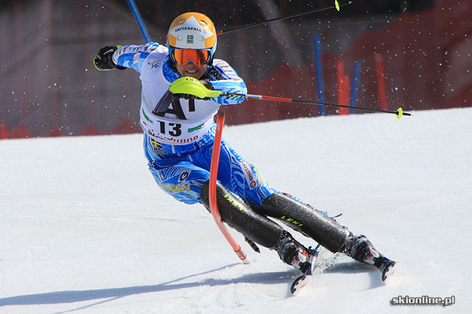 Galeria: PŚ Schladming - slalom mężczyzn