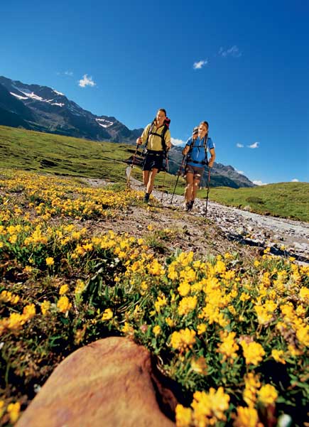 Galeria: Lato w dolinie Oetztal