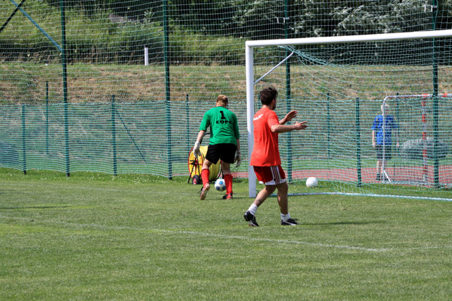 Galeria: Polskie Dni 2010 - mecz Austria - Polska