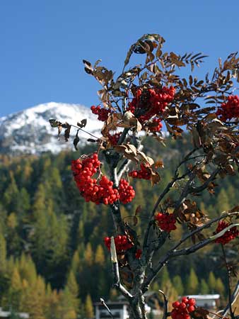 Galeria: Jesień w Soelden