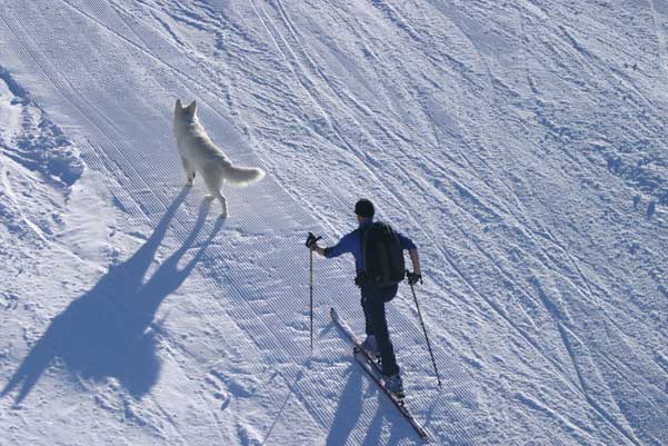 Galeria: Zillertal Arena, Tyrol - Austria cz. I