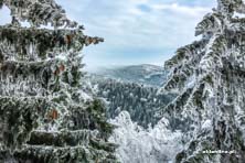Ski centrum Říčky w Czechach - luty 2017
