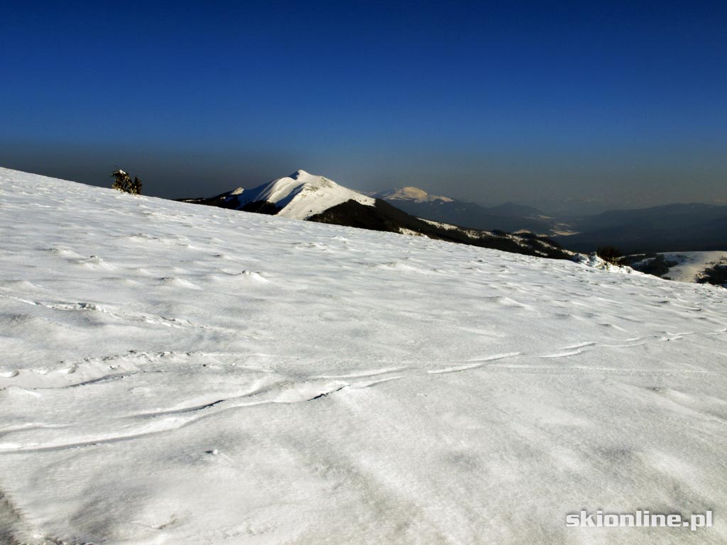 Galeria: Ski touring w Bieszczadach - luty 2015