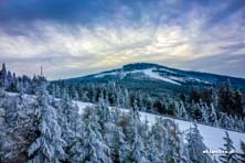 Czarna Góra na biało - warunki 11.02.2017