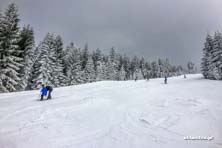 Czarna Góra na biało - warunki 11.02.2017