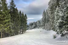 Czarna Góra na biało - warunki 11.02.2017