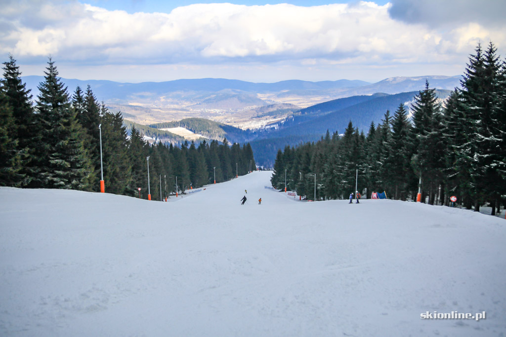 Galeria: Czarna Góra początkiem marca 2019
