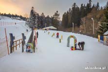 Krynica Henryk Ski - styczeń 2016