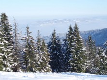 Zima w Beskidach - Klimczok