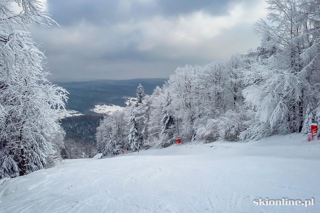 Galeria: Magura Ski Park - styczeń 2016