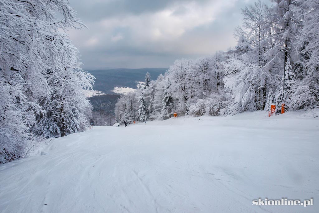 Galeria: Magura Ski Park - styczeń 2016