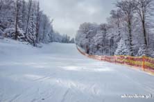 Magura Ski Park - styczeń 2016