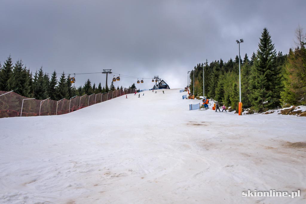 Galeria: Świeradów Zdrój Ski&Sun - styczeń 2016