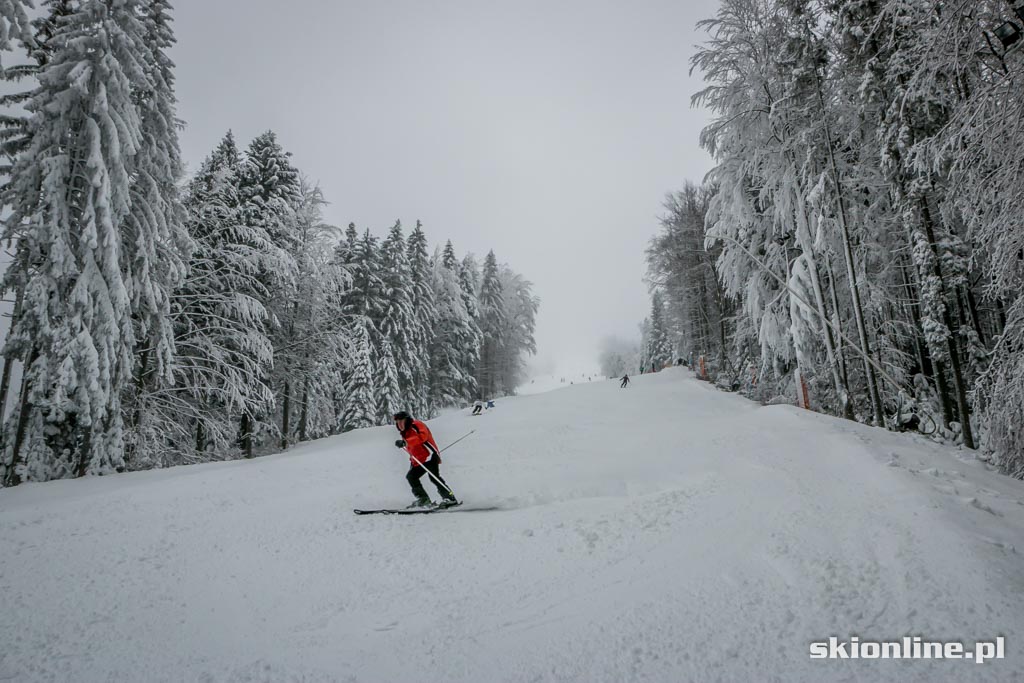 Galeria: Szczyrk SON Golgota warunki narciarskie 1.01.2015