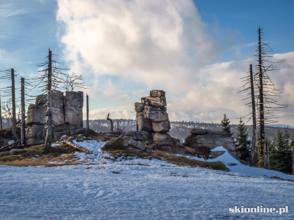 Galeria: Ski Arena Szrenica - koniec stycznia 2016