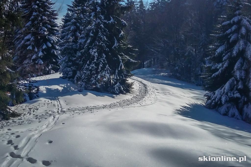 Galeria: Wiosenne skitury - na Turbacz z Koninek