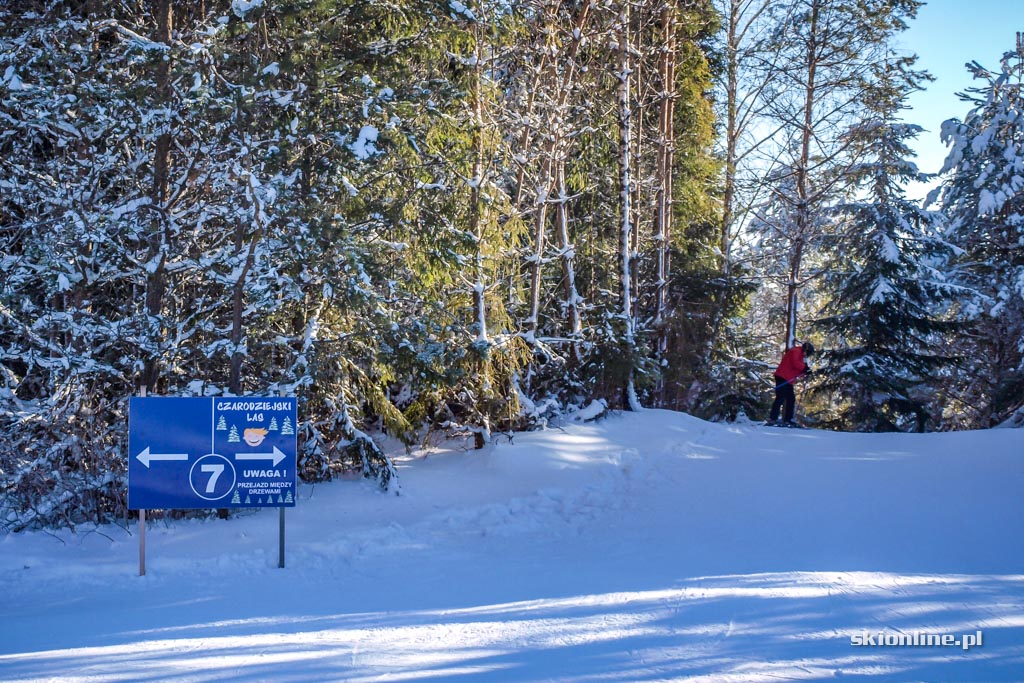 Galeria: Tylicz, stacja Master-Ski - styczeń 2017