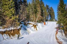Stacja Tylicz-Ski - styczeń 2017