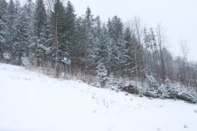 Wisła Soszów 10.12.2010