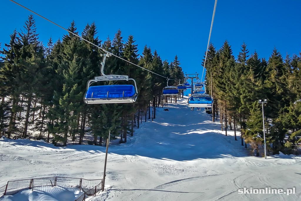 Galeria: Freeski w Zieleńcu - słońce, śnieg i 20 km tras