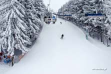 Zieleniec Ski Arena - Winterpol, zima w pełni