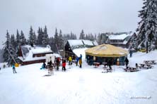 Winter Park Martinky