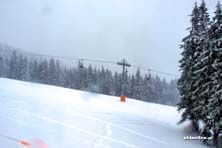 Winter Park Martinky
