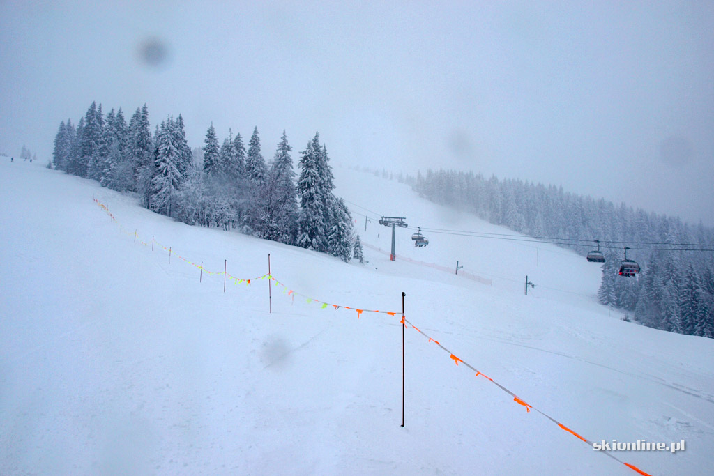 Galeria: Winter Park Martinky