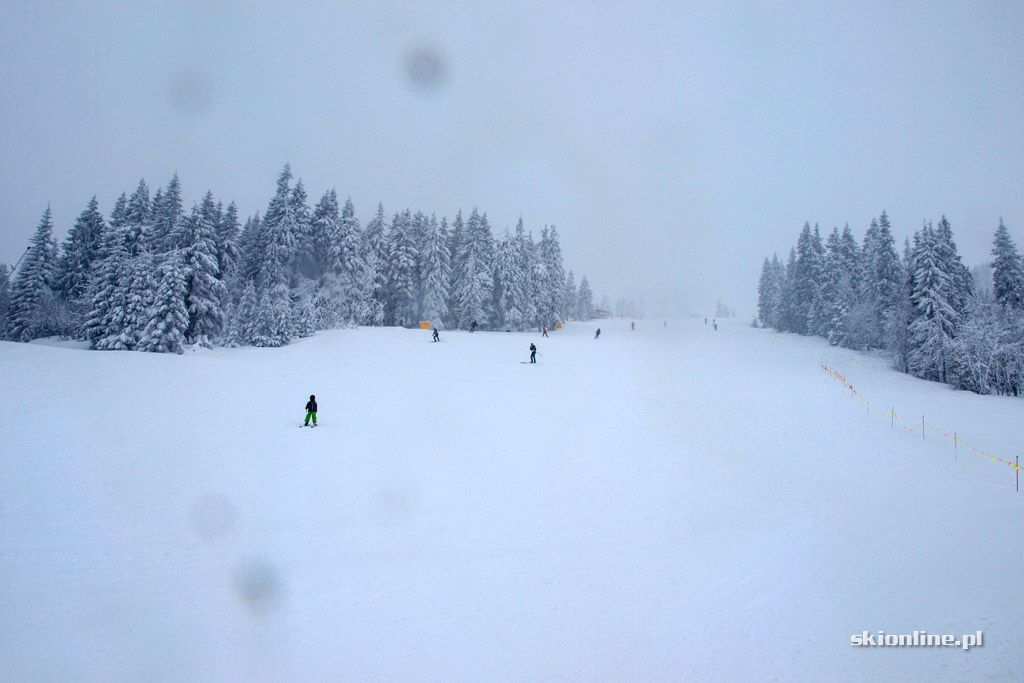 Galeria: Winter Park Martinky