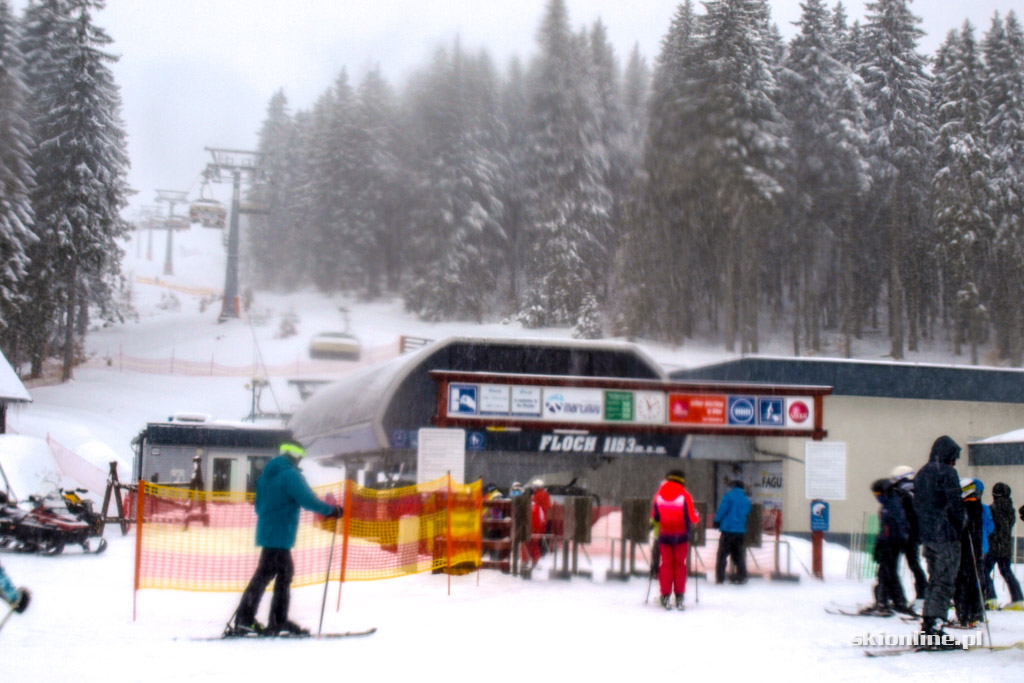 Galeria: Winter Park Martinky