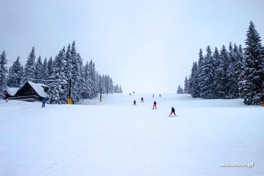 Galeria: Winter Park Martinky