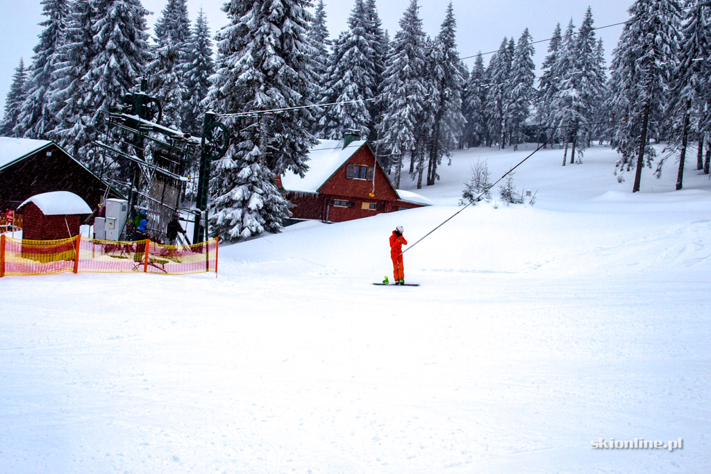 Galeria: Winter Park Martinky