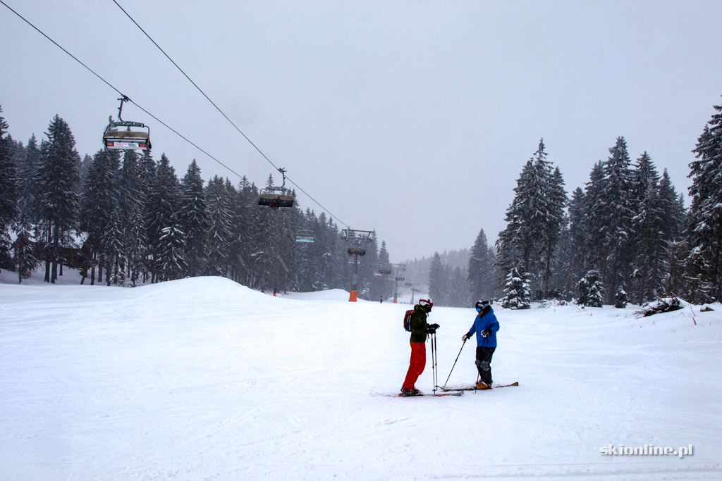 Galeria: Winter Park Martinky