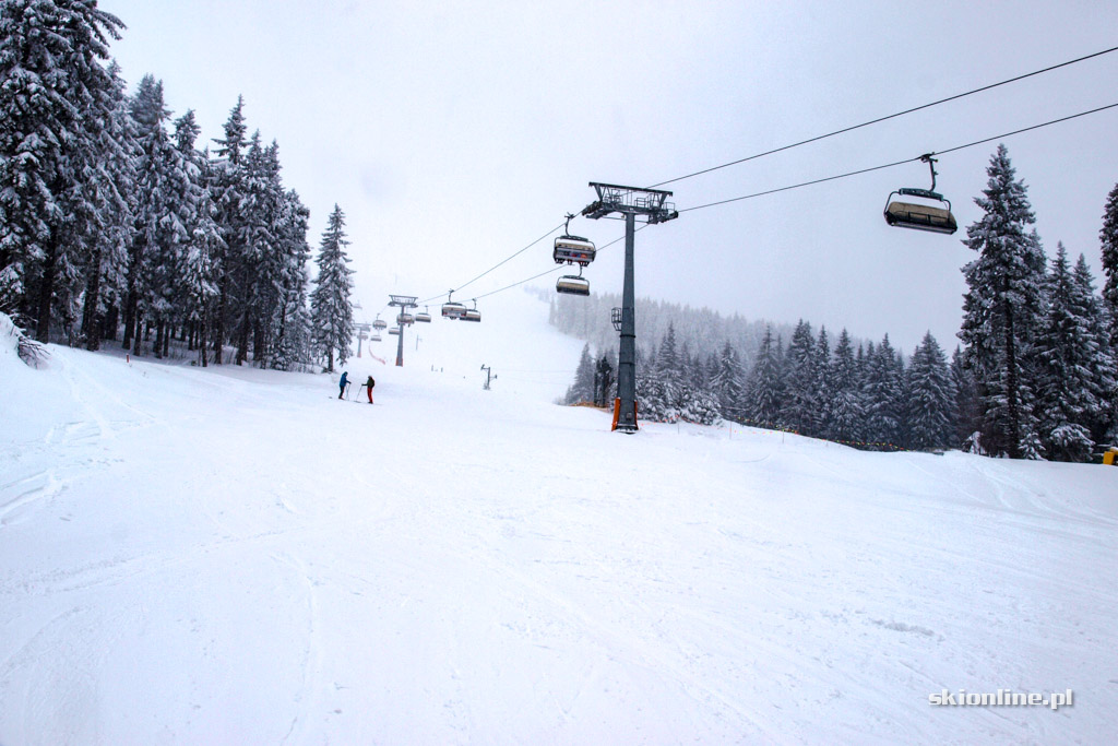 Galeria: Winter Park Martinky
