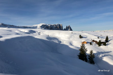Seiser Alm / Alpe di Siusi - grudzień 2019 Seiser Alm / Alpe di Siusi - grudzień 2019