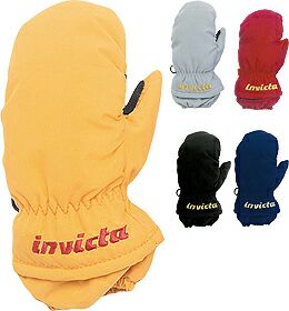 Invicta Soofty
