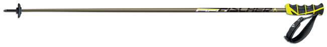 Fischer RC4 CARBON