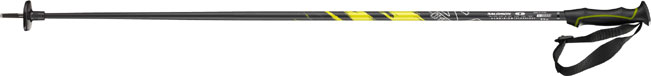 kije narciarskie Salomon F-One