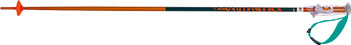 Voelkl PHANTASTICK 2 PETROL