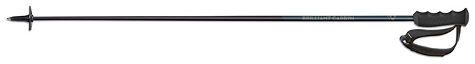 Fischer Brilliant Carbon