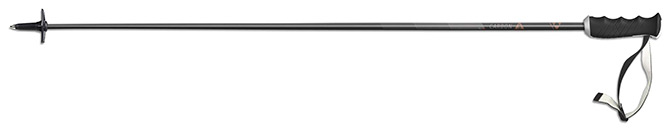 Fischer My Carbon