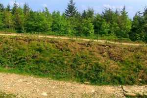 SZCZYRK MOUNTAIN RESORT - Zbójnicka Kopa