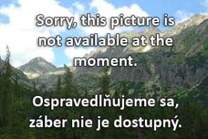 Kamera Vratna  Chleb