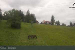 Kamera Mönichkirchen - Mariensee  Mönichkirchner Schwaig (LIVE Stream)