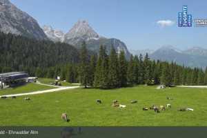 Kamera Tiroler Zugspitzbahn  Ehrwalder Alm (LIVE Stream)