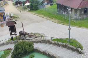 Jaworzyna Krynicka-ski