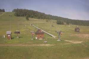 Koziniec SKI