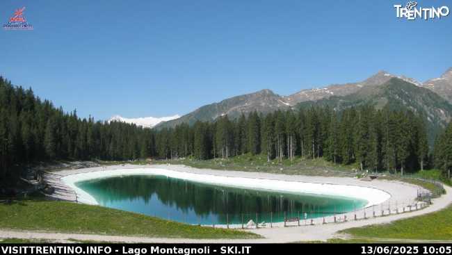 Zona Spinale