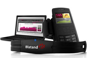 System monitoringu firmy Blatand System monitoringu firmy Blatand