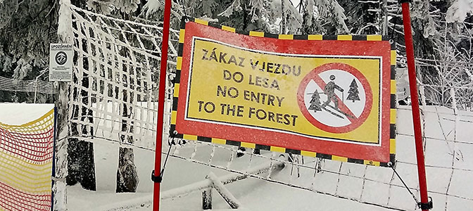 Ośrodek narciarski SkiResort ogranicza ruch poza trasami i wzmacnia ochronę lasów Ośrodek narciarski SkiResort ogranicza ruch poza trasami i wzmacnia ochronę lasów